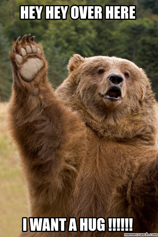 Brown bear: "Hey, hey, over here! I want a hug!!!!!!"