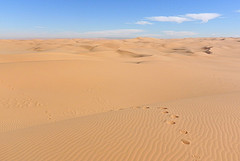 Desert sands. There is a trail of footprints, but no other signs of human activity.