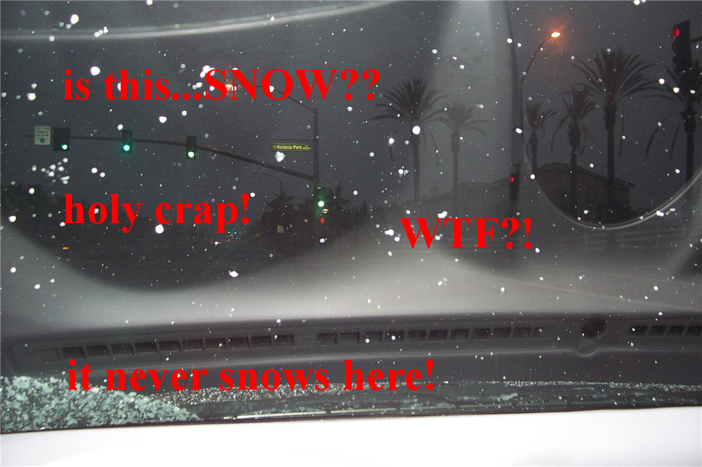 A light sprinkling of snow: "is this...SNOW??" "holy crap!" "WTF?!" "it never snows here!"